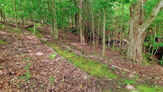 8424 3rd St, Onekama, MI 49675 - view of undeveloped land