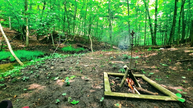 8424 3rd St, Onekama, MI 49675 - view of nature