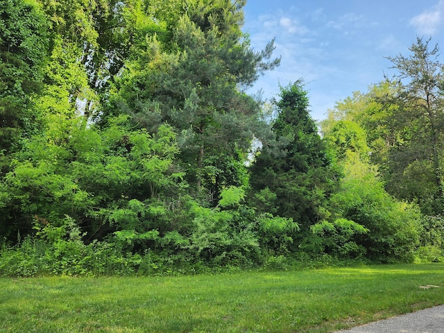 6591 Phoenix Ct SE, Alto, MI 49302 - photo 1
