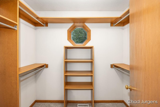7564 Quincy St, Zeeland, MI 49464 - walk in closet featuring carpet floors
