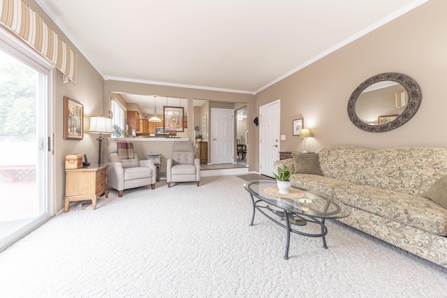 3929 Beech Dr, Ypsilanti, MI 48197 - living area with carpet flooring and crown molding