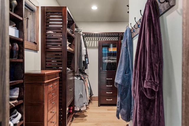 10258 Burgoyne Rd, Berrien Springs, MI 49103 - walk in closet featuring light wood-type flooring