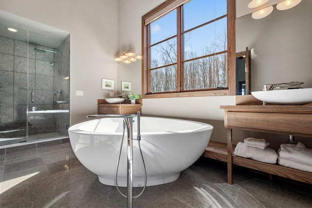 10258 Burgoyne Rd, Berrien Springs, MI 49103 - bathroom featuring vanity, a shower stall, and a freestanding tub