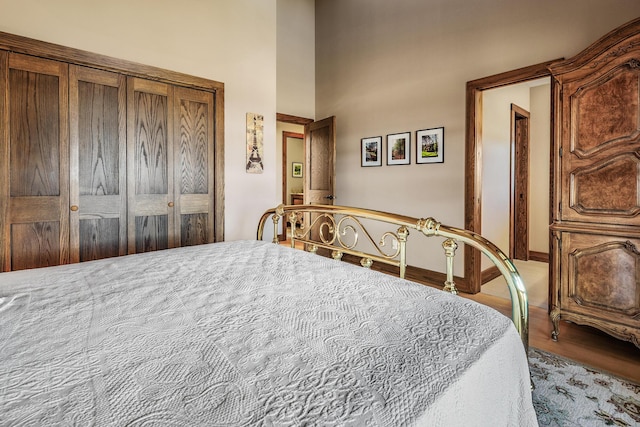 10258 Burgoyne Rd, Berrien Springs, MI 49103 - bedroom with wood finished floors, a closet, and a towering ceiling