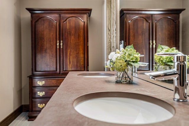 10258 Burgoyne Rd, Berrien Springs, MI 49103 - bathroom with double vanity and baseboards