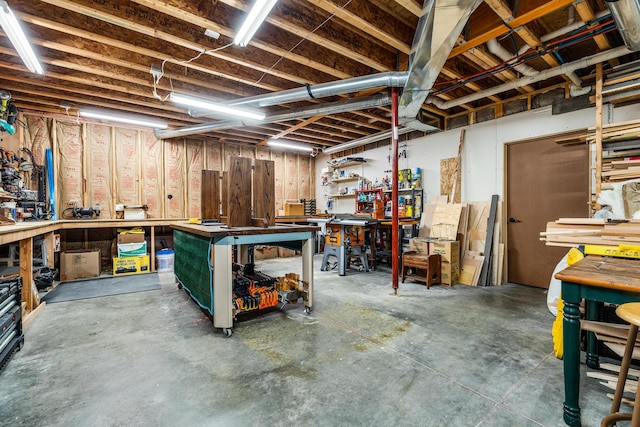 10258 Burgoyne Rd, Berrien Springs, MI 49103 - unfinished below grade area featuring a workshop area