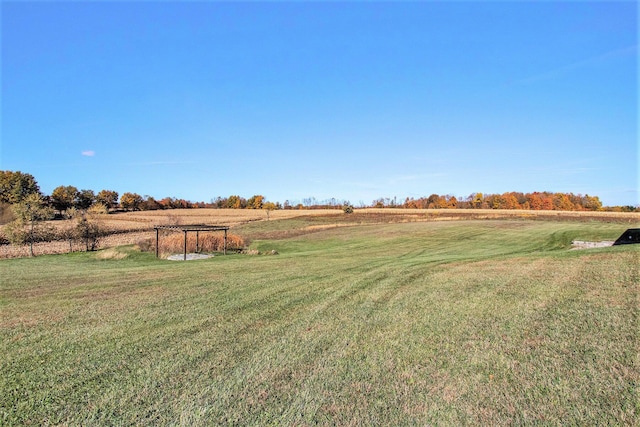 10258 Burgoyne Rd, Berrien Springs, MI 49103 - view of green lawn