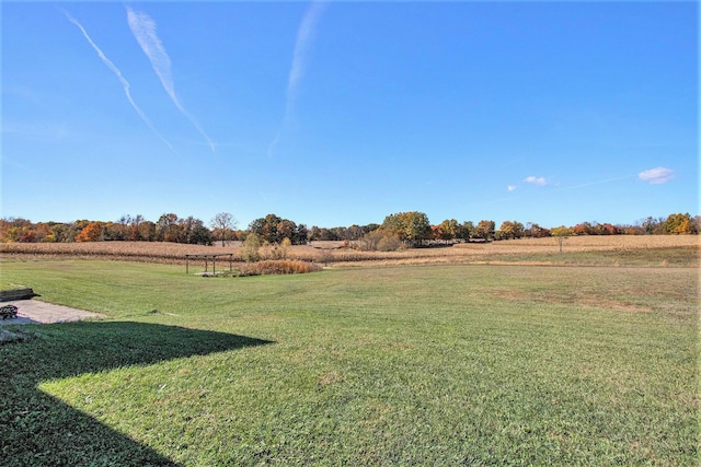 10258 Burgoyne Rd, Berrien Springs, MI 49103 - view of green lawn