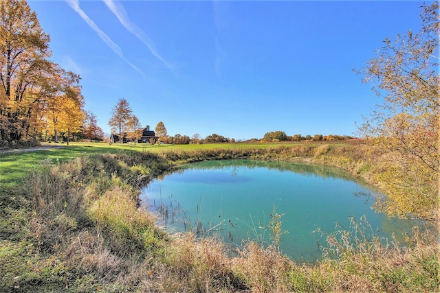 10258 Burgoyne Rd, Berrien Springs, MI 49103 - water view