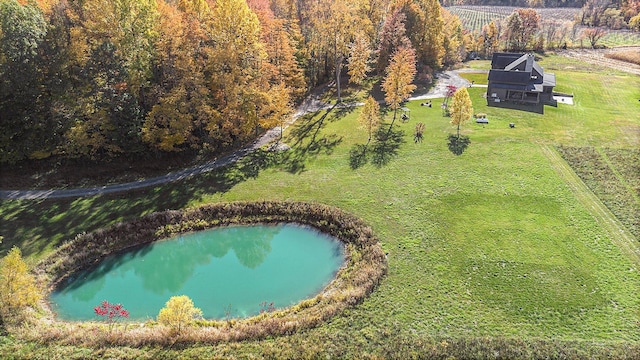 10258 Burgoyne Rd, Berrien Springs, MI 49103 - view from above of property featuring a large body of water