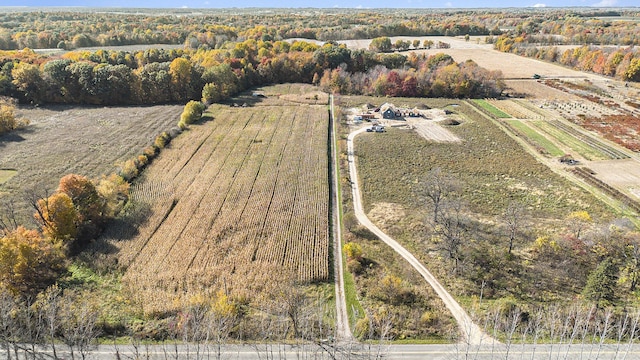 10258 Burgoyne Rd, Berrien Springs, MI 49103 - aerial view of property and surrounding area featuring rural landscape and abundant farmland