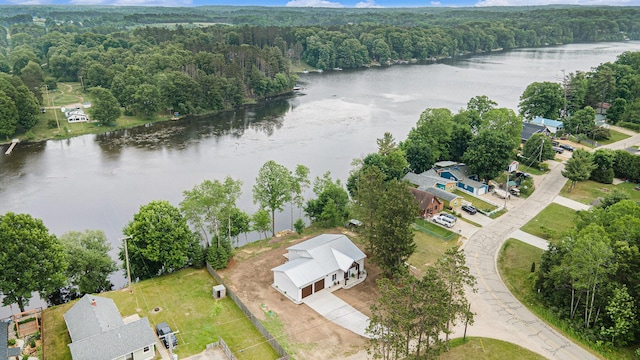 11012 Riverview Dr, Big Rapids, MI 49307 - bird's eye view of a large body of water