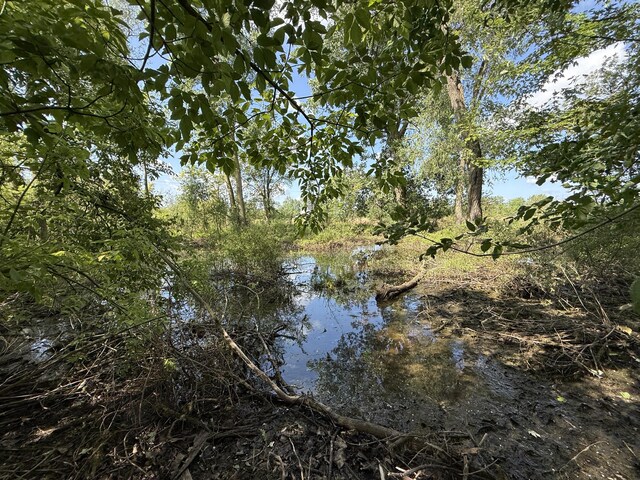 0 Dixboro Rd, South Lyon, MI 48178 - photo 5