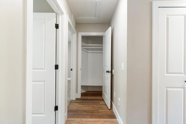 307 N Perrine St, Jackson, MI 49201 - corridor featuring light wood-type flooring