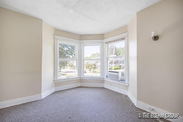 200 Richards Ave NW, Grand Rapids, MI 49504 - unfurnished room with carpet, a textured ceiling, and cooling unit