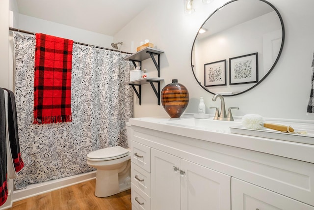 15532 Winchester Cir, Grand Haven, MI 49417 - bathroom with vanity, wood finished floors, toilet, and a shower with shower curtain