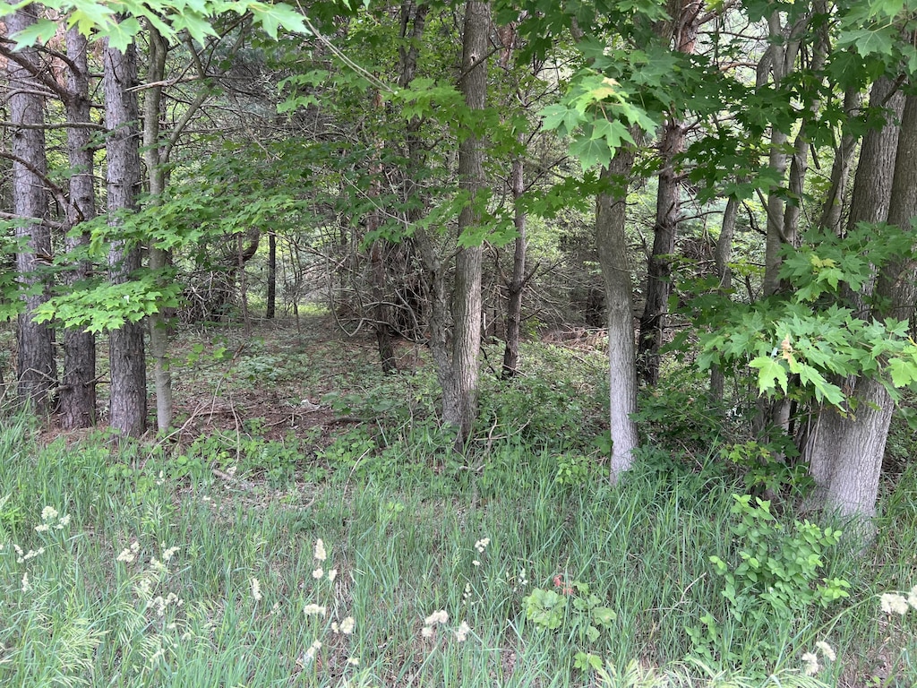 VL W Bard Rd, Muskegon, MI 49445