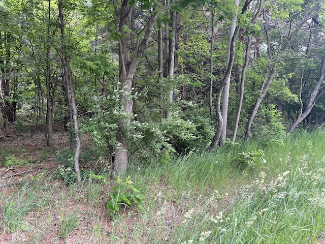 VL W Bard Rd, Muskegon, MI 49445
