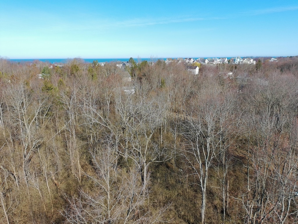 V/L Miami Avenue, South Haven, MI 49090 - photo 2
