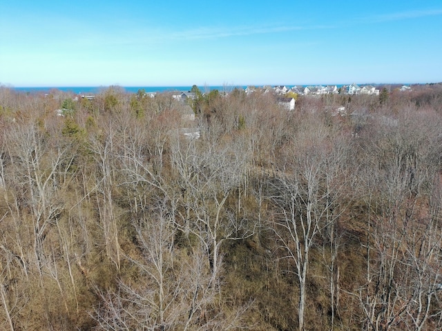 V/L Miami Avenue, South Haven, MI 49090 - photo 2