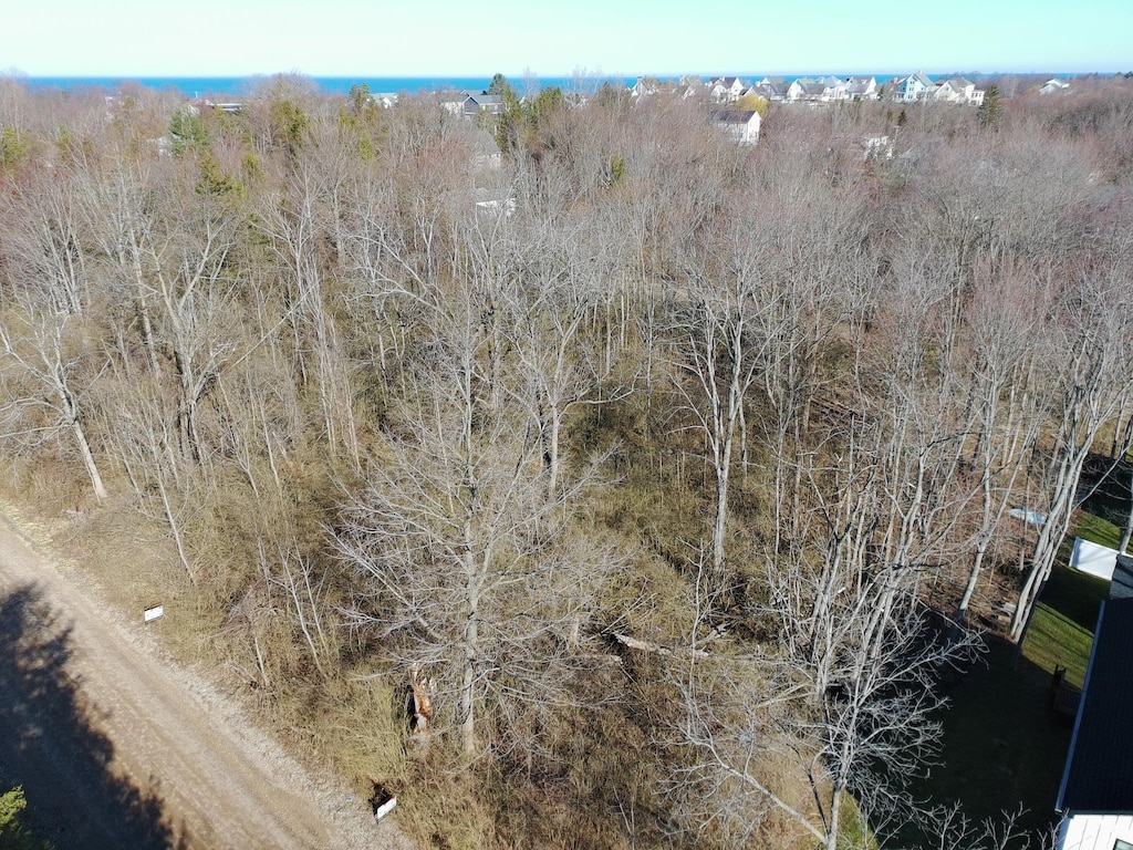 V/L Miami Avenue, South Haven, MI 49090 - photo 3