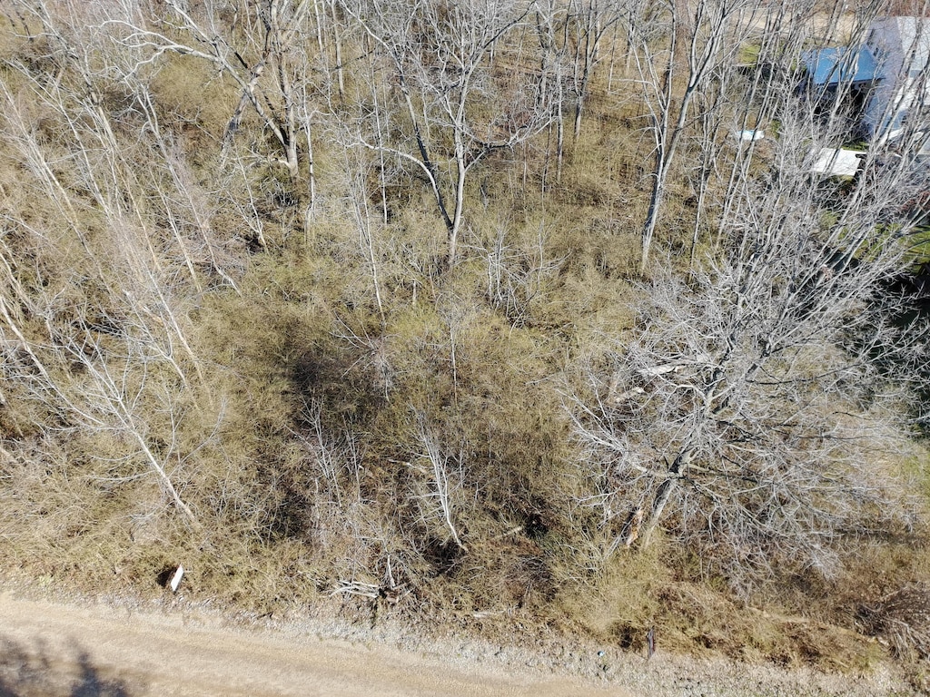 V/L Miami Avenue, South Haven, MI 49090 - photo 4