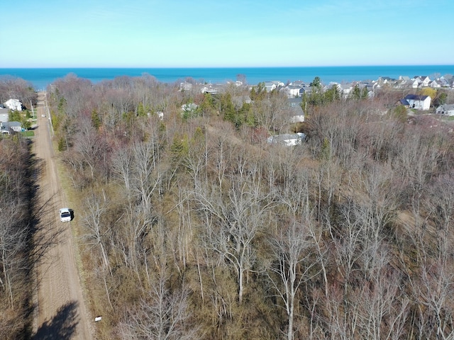 V/L Miami Avenue, South Haven, MI 49090 - photo 1