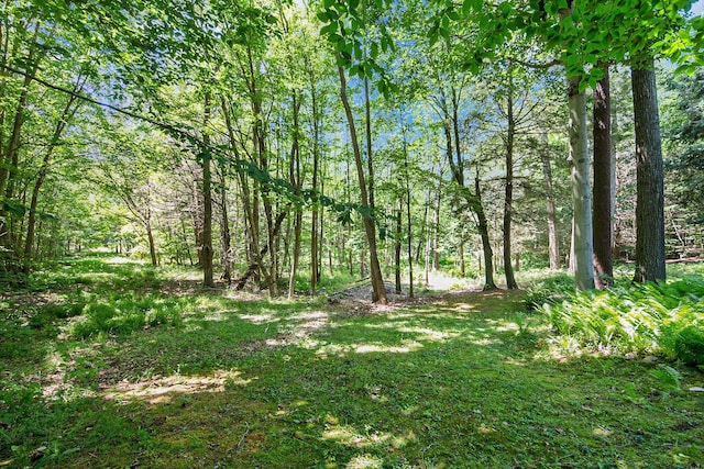 5543 Oak Tree Ln, Whitehall, MI 49461 - photo 22