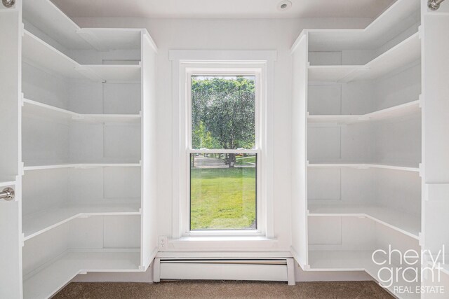 1757 Westlane Dr NE, Grand Rapids, MI 49505 - storage area with a baseboard radiator