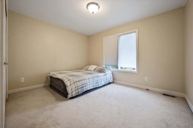 22219 Lujon Dr, Northville, MI 48167 - photo 43