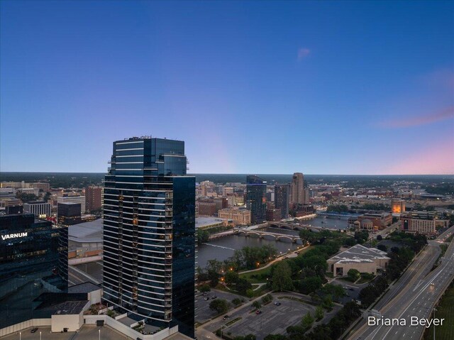 335 Bridge St NW Unit 3102, Grand Rapids, MI 49504