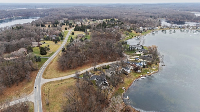 893 Ridge Rd, Chelsea, MI 48118 - photo 9