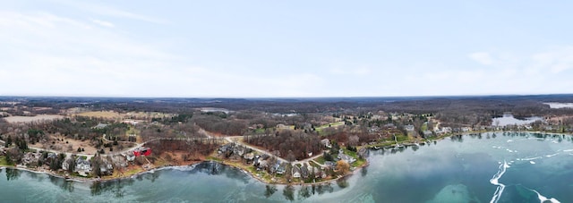893 Ridge Rd, Chelsea, MI 48118 - photo 10