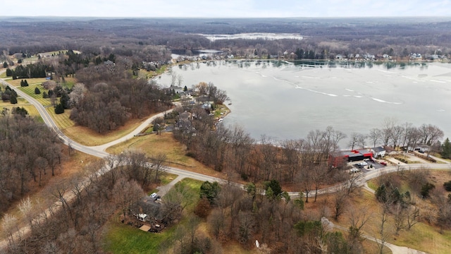 893 Ridge Rd, Chelsea, MI 48118 - photo 19