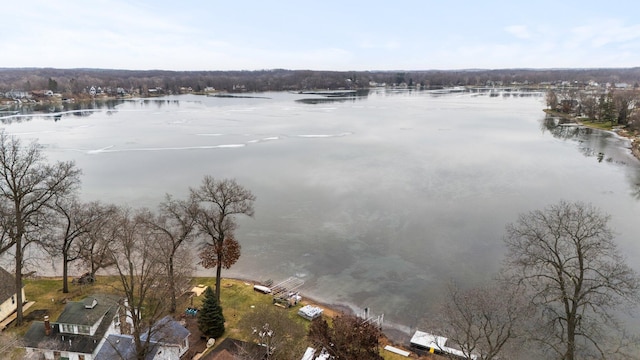 893 Ridge Rd, Chelsea, MI 48118 - photo 20