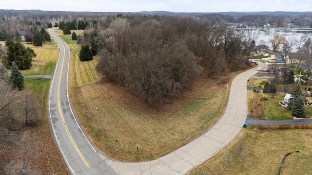 893 Ridge Rd, Chelsea, MI 48118 - photo 22