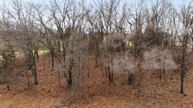 893 Ridge Rd, Chelsea, MI 48118 - photo 24