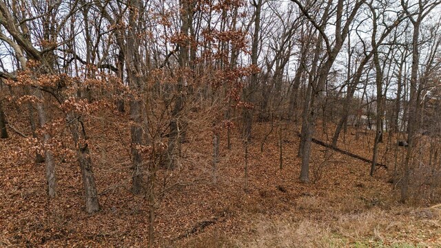 893 Ridge Rd, Chelsea, MI 48118 - photo 25