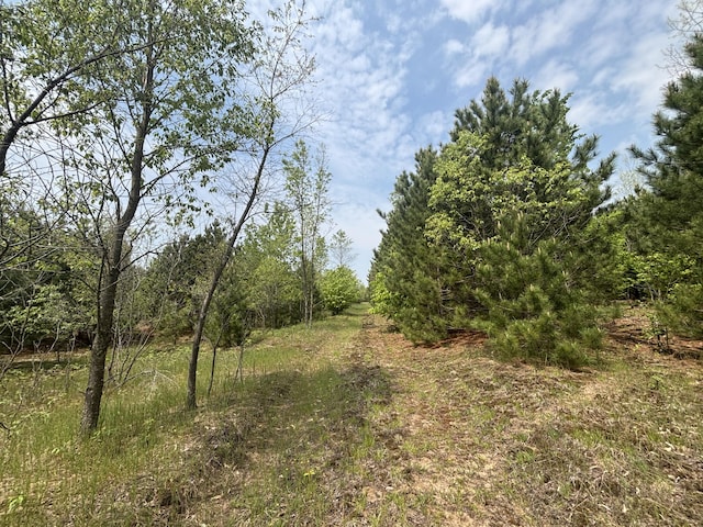V/L21.07A Clark Rd, Kingsley, MI 49649