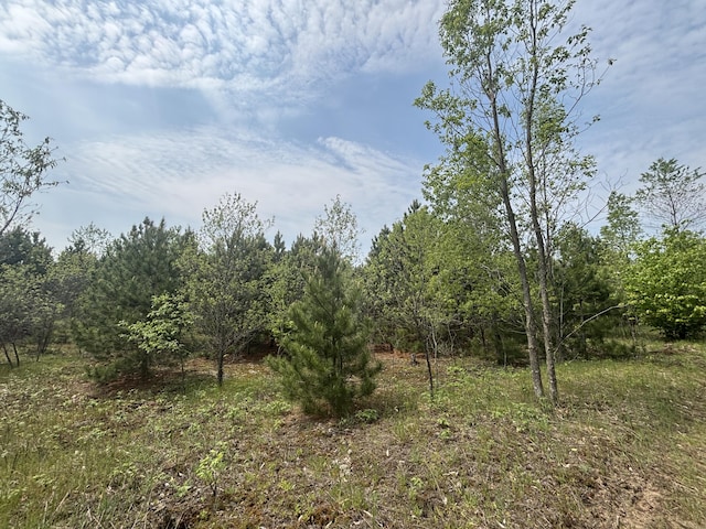 V/L21.07A Clark Rd, Kingsley, MI 49649