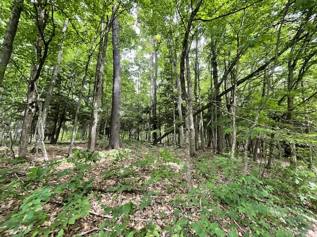 6288 E 22 1/2 Rd, Manton, MI 49663