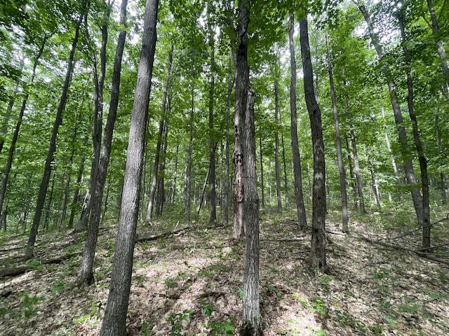 6288 E 22 1/2 Rd, Manton, MI 49663