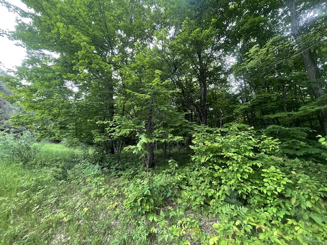 6288 E 22 1/2 Rd, Manton, MI 49663