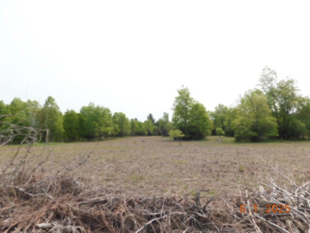 15880 Potter Rd Unit B26.82, Kaleva, MI 49645 - photo 4