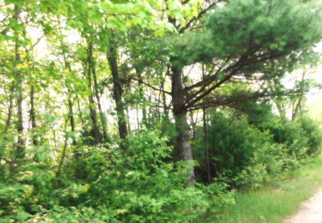 15880 Potter Rd Unit B26.82, Kaleva, MI 49645 - photo 6
