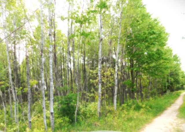15880 Potter Rd Unit B26.82, Kaleva, MI 49645 - photo 7
