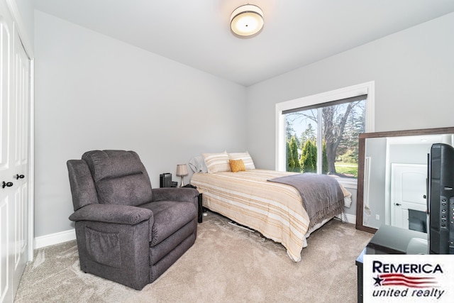 52951 Royal Park Ave, Utica, MI 48315 - carpeted bedroom with baseboards