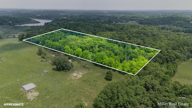 V/L Lammers Rd, Delton, MI 49046
