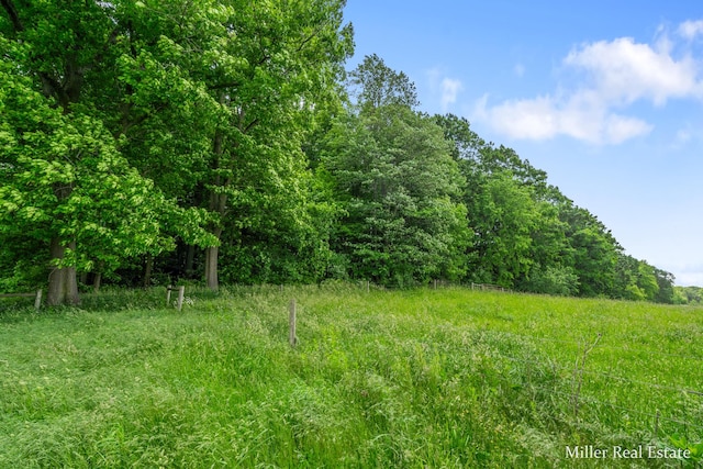 V/L Lammers Rd, Delton, MI 49046