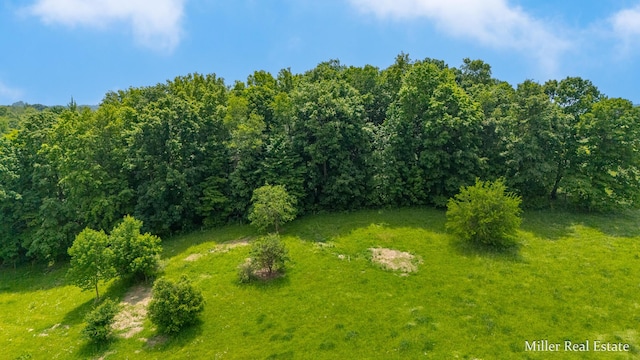 V/L Lammers Rd, Delton, MI 49046